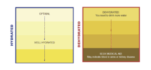 Blog Post - Heat Stress Prevention – Hydration Chart