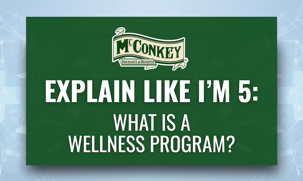 What Is a Wellness Program? - Graphic with text Explain Like I'm 5 What Is A Wellness Program?